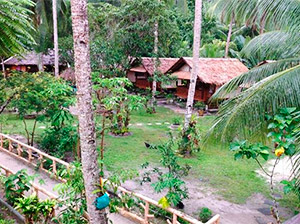 in beautiful garden surroundings